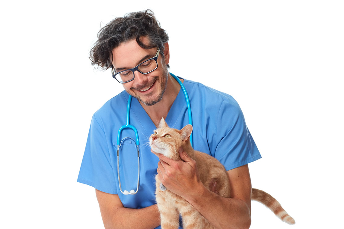Empleo Ofertas Neurologo Veterinario